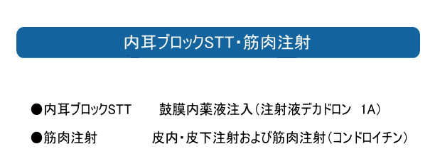 内耳ブロック・筋肉注射について