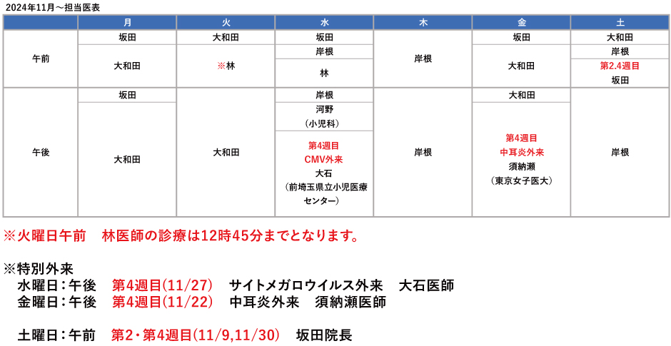 2024年11月担当医表